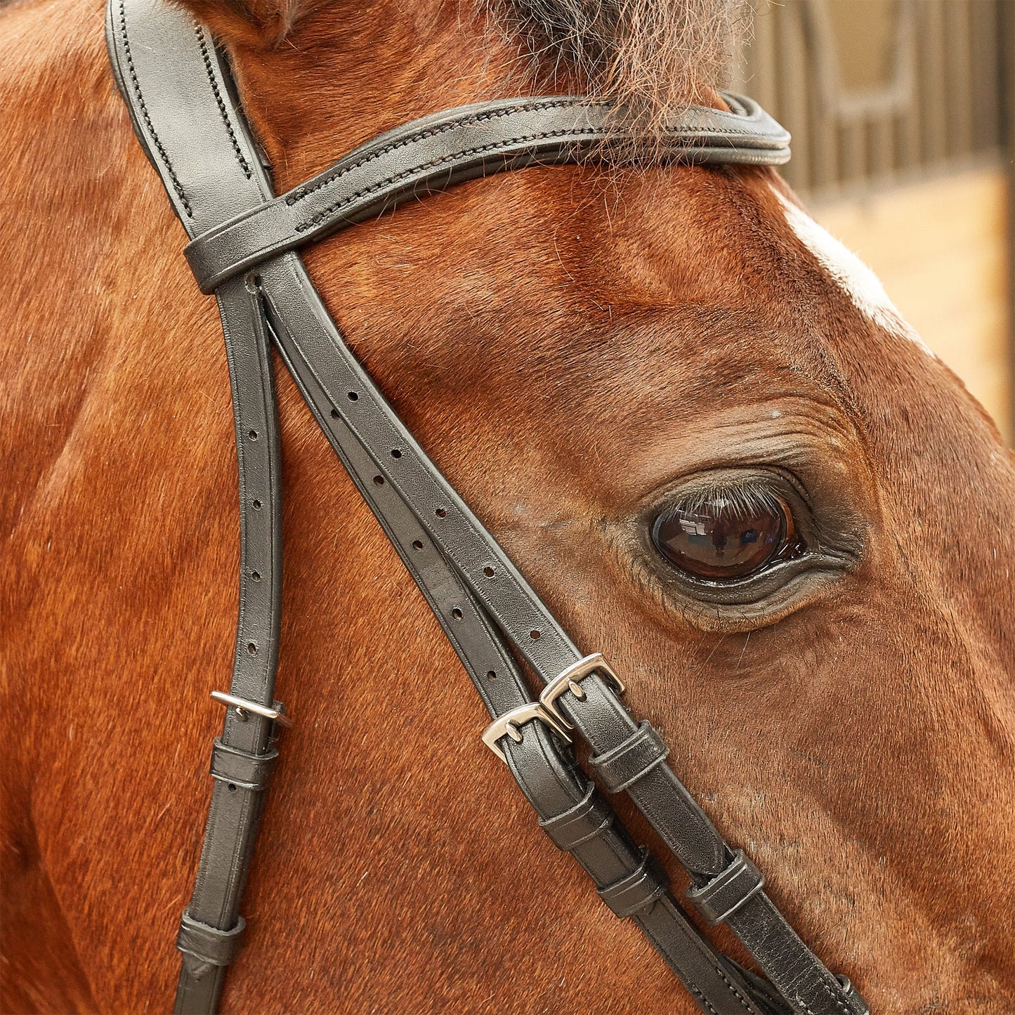 Collegiate ComFITec Training Bridle - Black