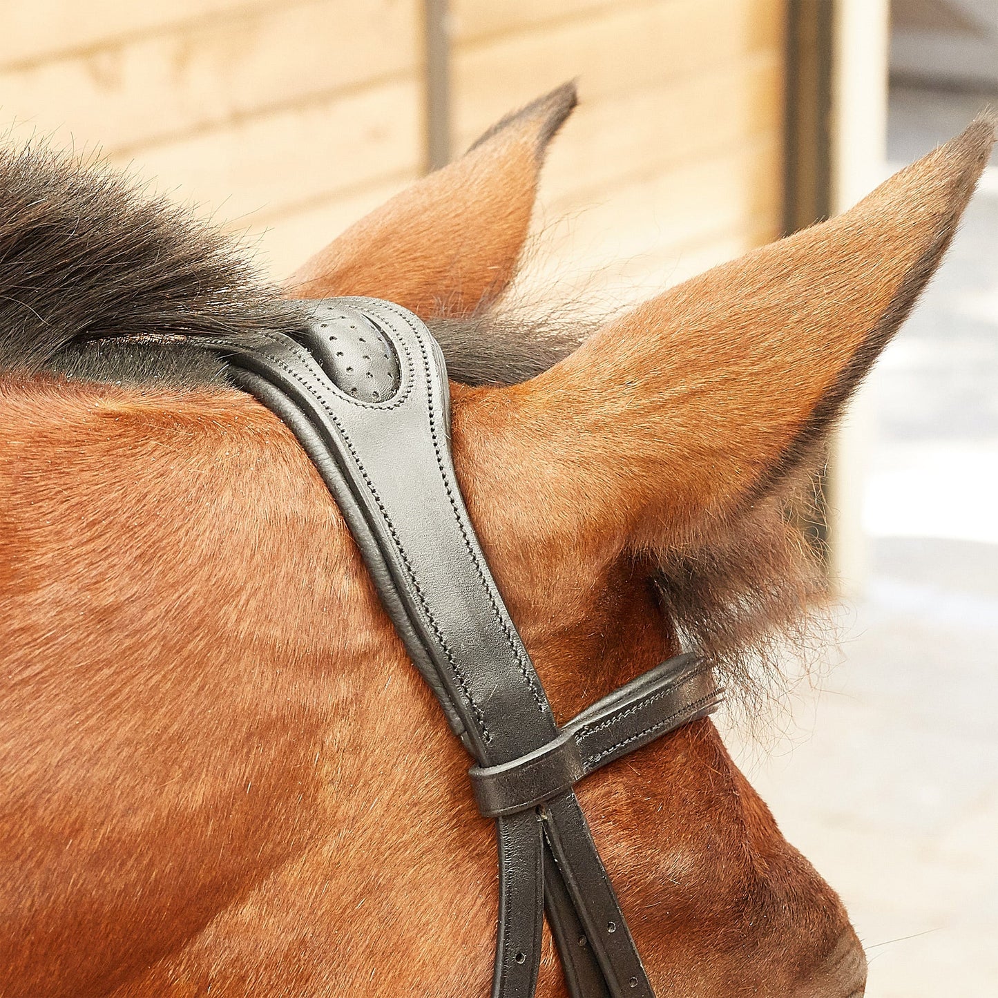Collegiate ComFITec Training Bridle - Black
