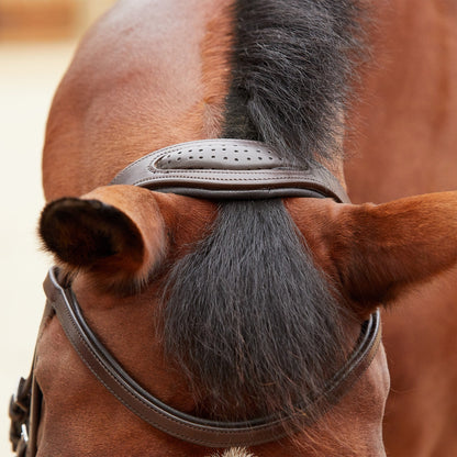 Collegiate ComFITec Training Bridle - Brown