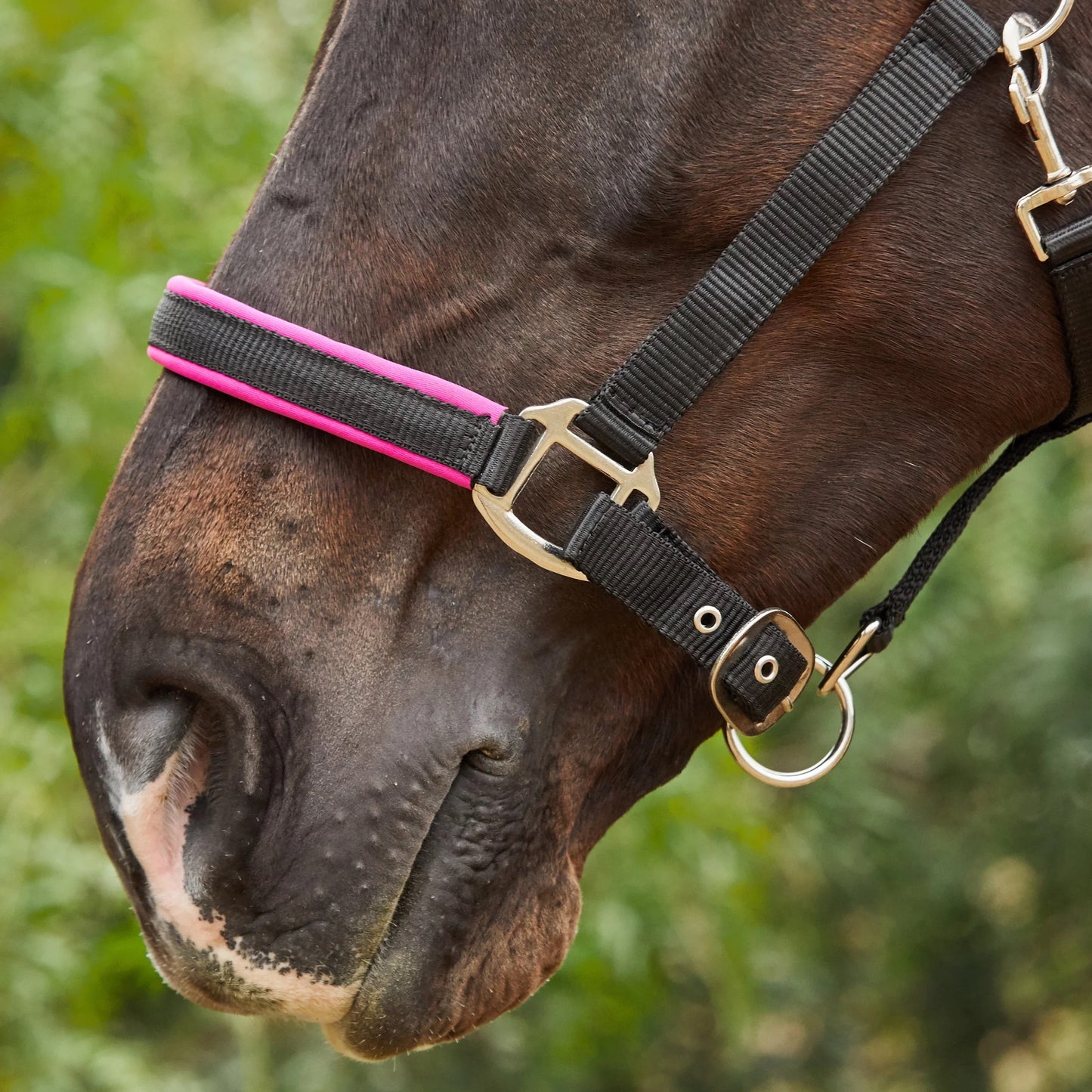 Tough1® Neoprene Padded Nylon Halter - Raspberry