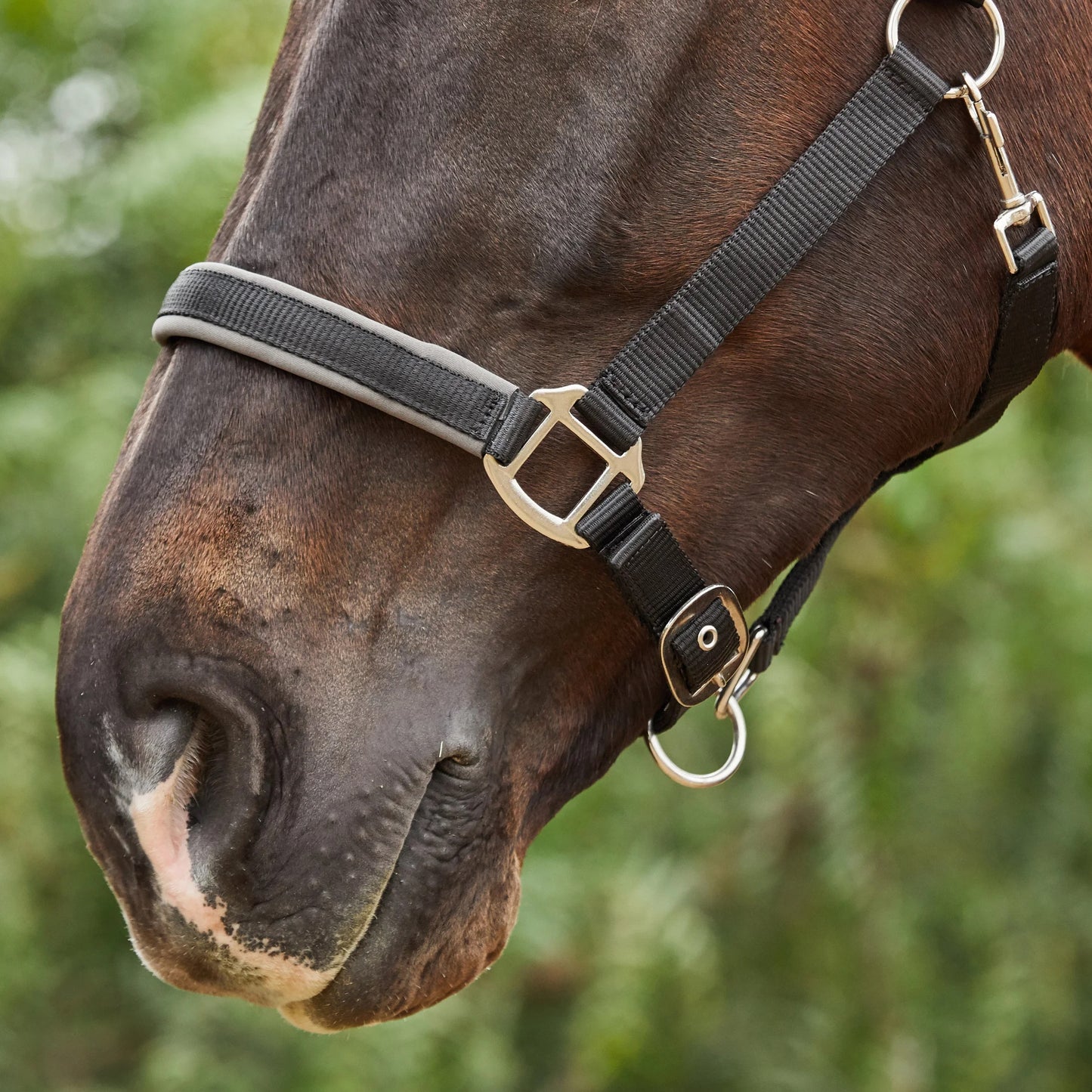 Tough1® Neoprene Padded Nylon Halter - Grey
