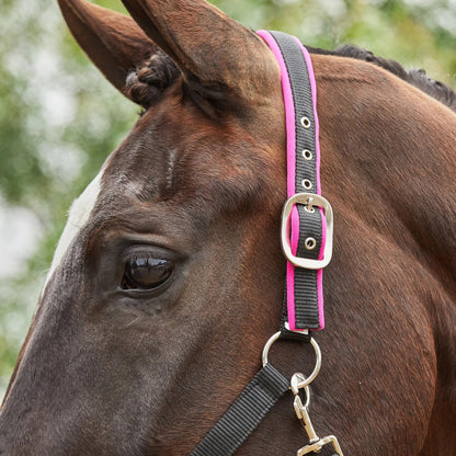 Tough1® Neoprene Padded Nylon Halter - Raspberry