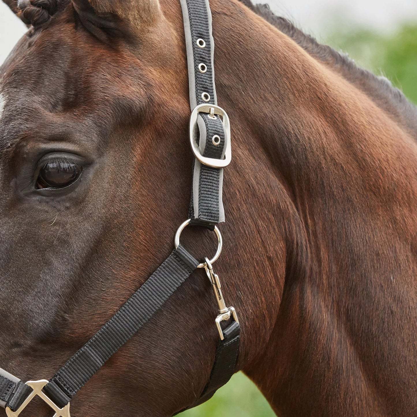 Tough1® Neoprene Padded Nylon Halter - Grey