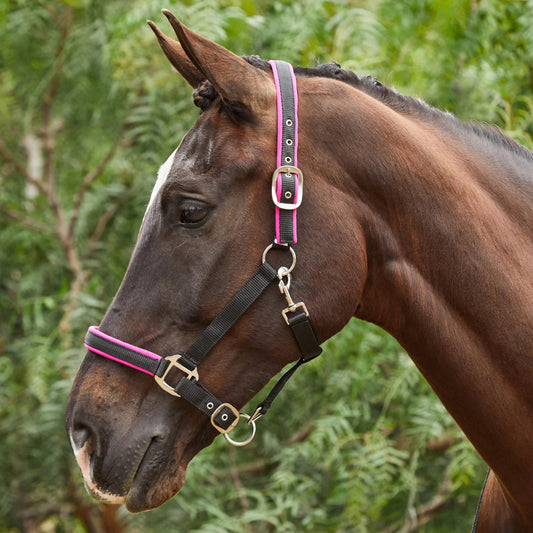 Tough1® Neoprene Padded Nylon Halter - Raspberry