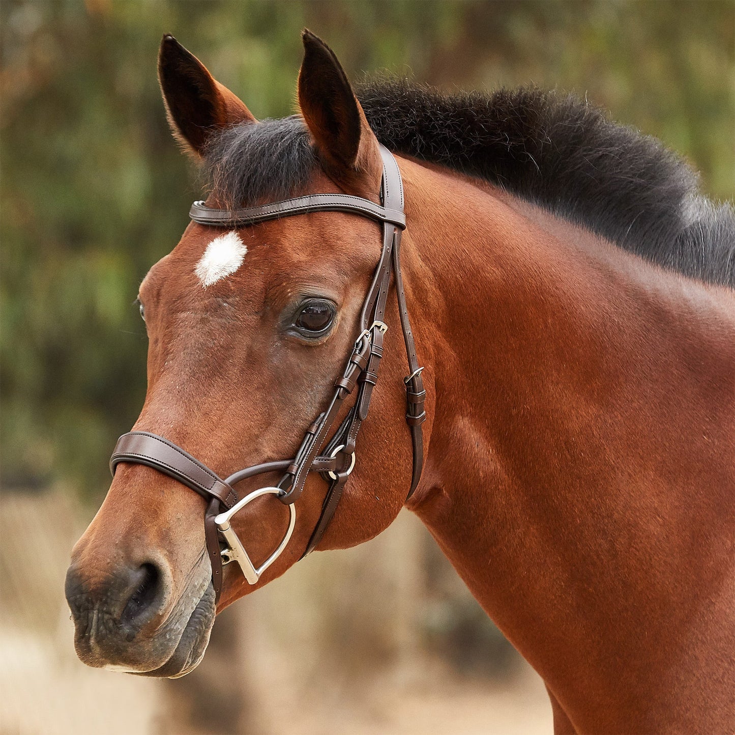 Collegiate ComFITec Training Bridle - Brown